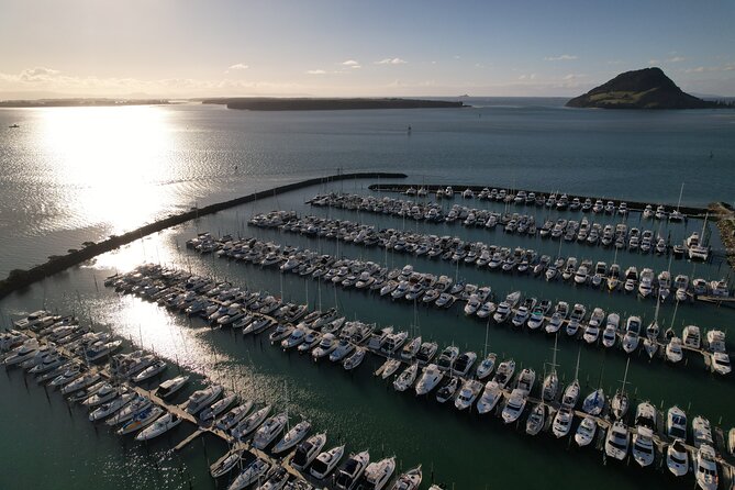 Tauranga Shore Excursion: Top Half Day Curated Highlights Tour - McLaren Falls Park: Native Rainforest Walk and Waterfall Time