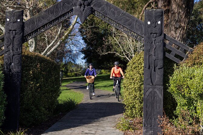 Tauranga Shore Excursion: Top Half Day Curated Highlights Tour - Price, Timing, and Group Size: How This Tour Delivers Value