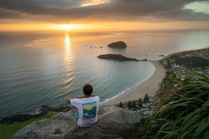 Tauranga Shore Excursion: Top Half Day Curated Highlights Tour - Kiwifruit Vines, Orchard Views, and Manuka Honey Tasting
