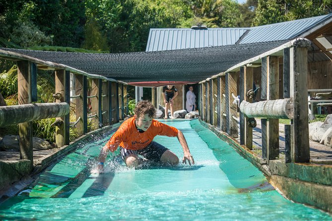 Tauranga: Waimarino Adventure Park - Your day at the park: timing, pacing, and how long to stay