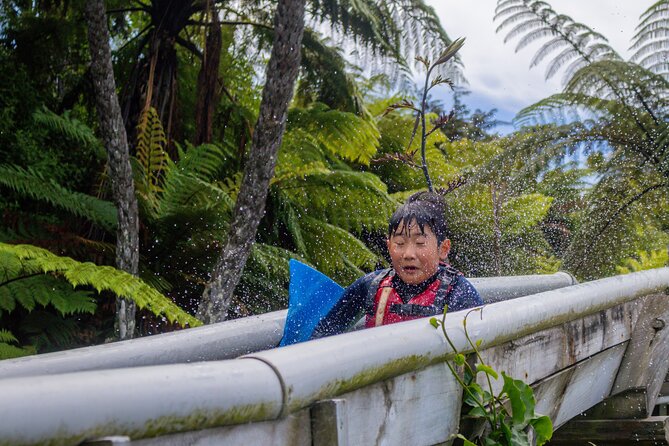 Tauranga: Waimarino Adventure Park - Climbing wall, balance challenges, and the low ropes course