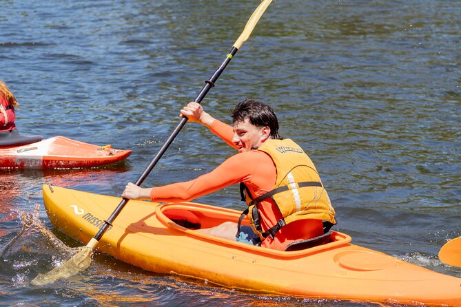 Tauranga: Waimarino Adventure Park - Tarzan swing, gladiator games, and height-friendly thrill