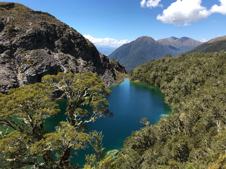 Te Anau: 30-Minute Fiordland National Park Scenic Flight - The route you are really paying for: Kepler Track, Hidden Lakes, Main Divide