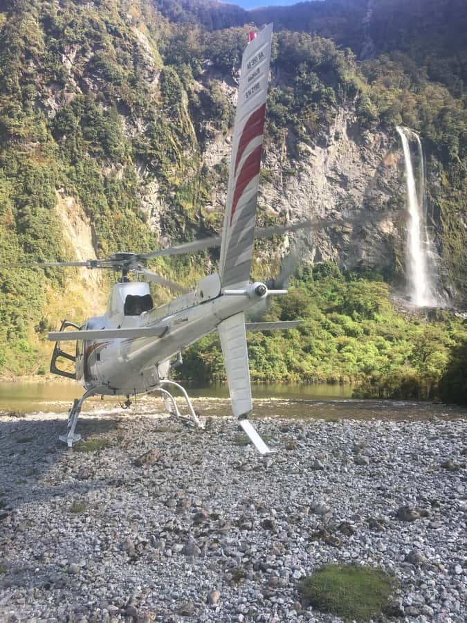 Te Anau: 30-Minute Fiordland National Park Scenic Flight - Price and value: is $230 per person worth it?