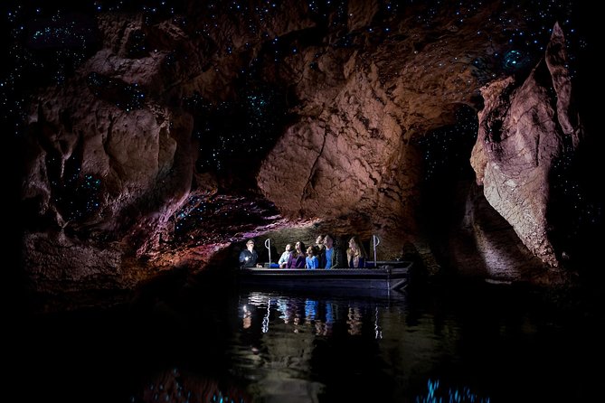 Te Anau Glow Worm Caves Tour - Key highlights you should care about