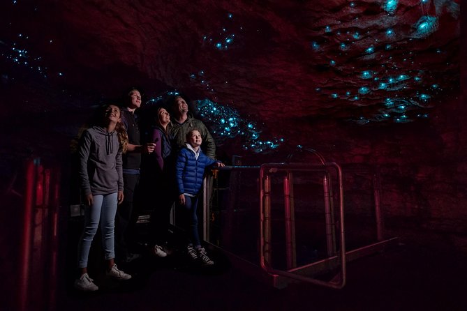 Te Anau Glow Worm Caves Tour - Te Anau starts on the water, then turns into quiet darkness