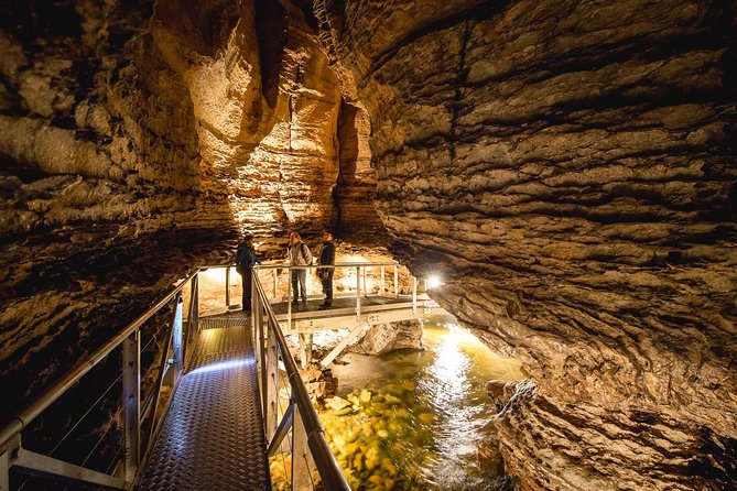 Te Anau Glow Worm Caves Tour - Cavern House briefing: learn first, then look harder