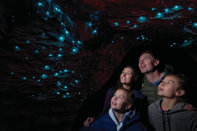 Te Anau Glow Worm Caves Tour - The Luminosa cruise on Lake Te Anau: your scenic buffer zone