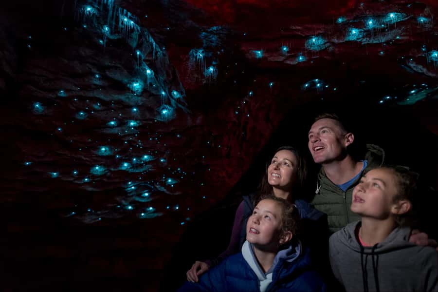 Te Anau: Glowworm Caves Guided Tour - Key highlights to look for