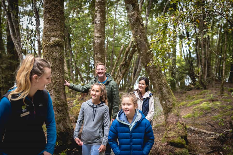 Te Anau: Glowworm Caves Guided Tour - Price and value: what $77 buys in 135 minutes