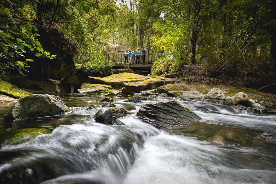 Te Anau: Glowworm Caves Guided Tour - Entering the caves: displays, geology, and that river roar