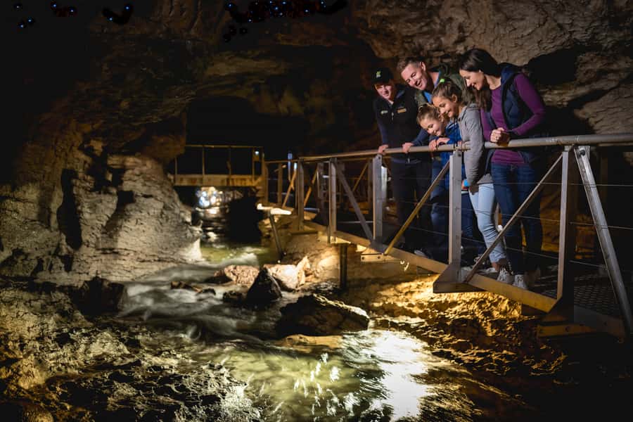 Te Anau: Glowworm Caves Guided Tour - The guided cave walk: low ceilings, big shapes