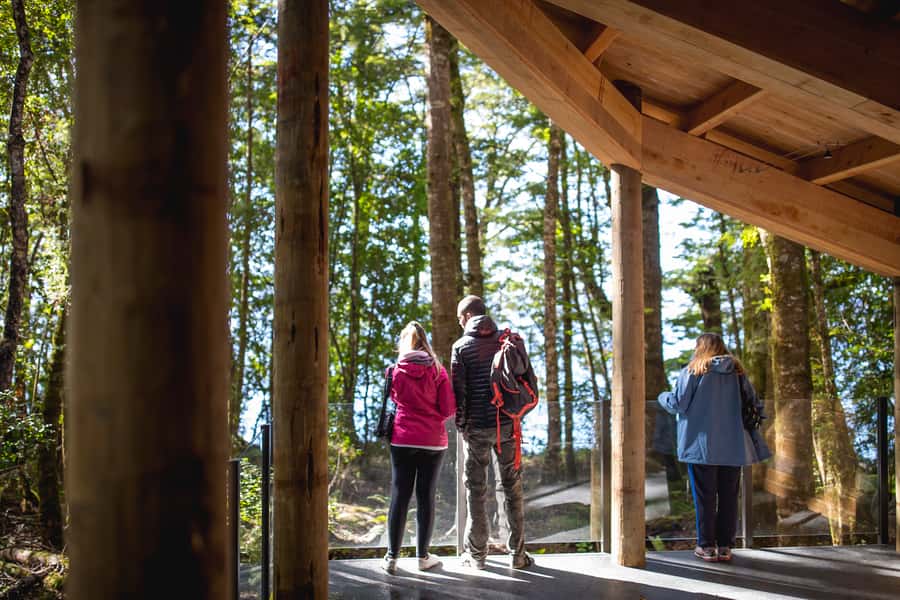 Te Anau: Glowworm Caves Guided Tour - Tea, coffee, and the post-cave presentation at Cavern House
