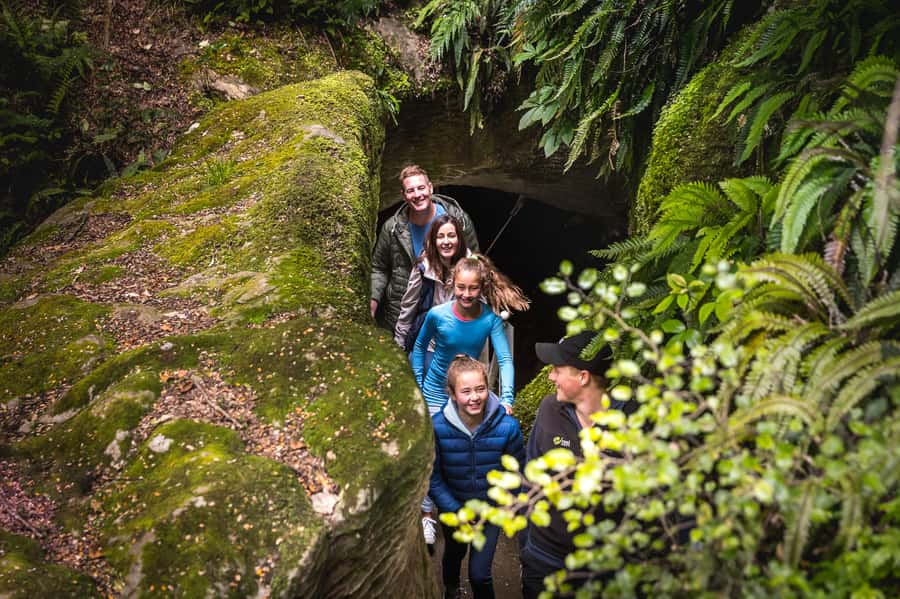 Te Anau: Glowworm Caves Guided Tour - Optional native walk: learning the plants you’d miss outside