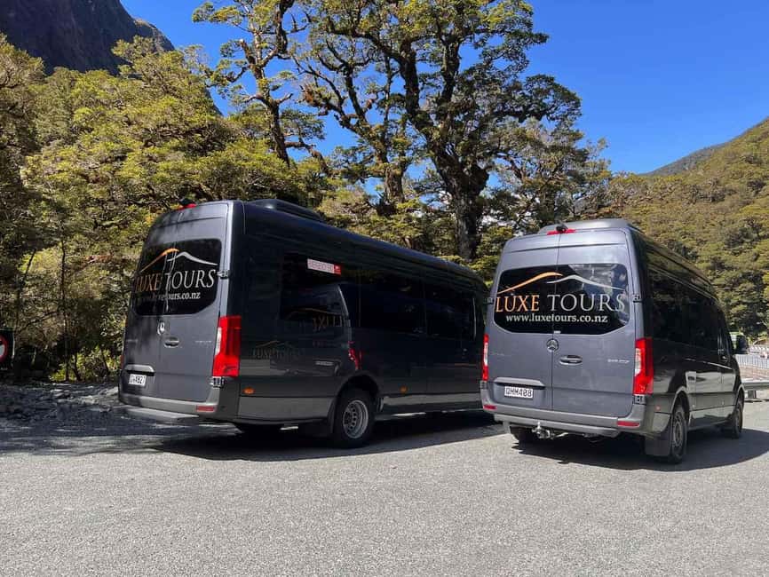 Te Anau: Premium Milford Sound Full Day Tour and Cruise - The Milford Road Stop List That Actually Matters