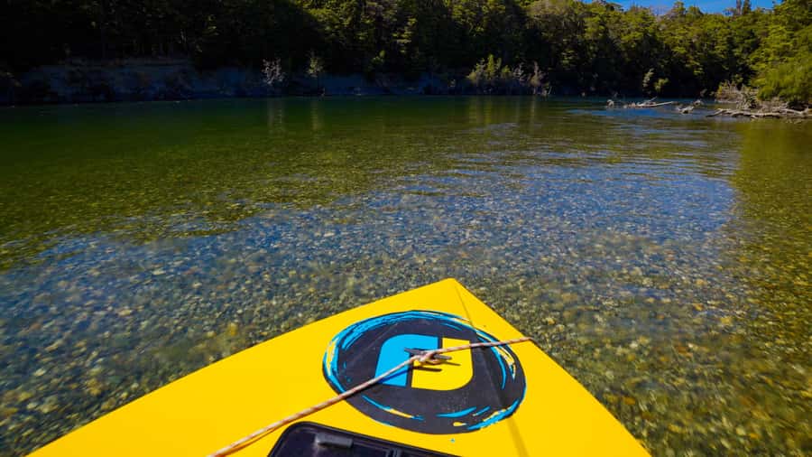 Te Anau: River Jet Boat and Bike Ride Tour with Local Guide - The 15-minute beech forest stroll: short, fresh, and worth it