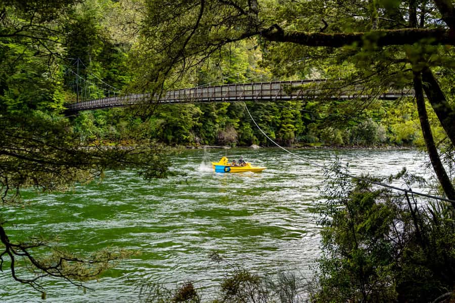 Te Anau: River Jet Boat and Bike Ride Tour with Local Guide - Who this tour is best for in Fiordland