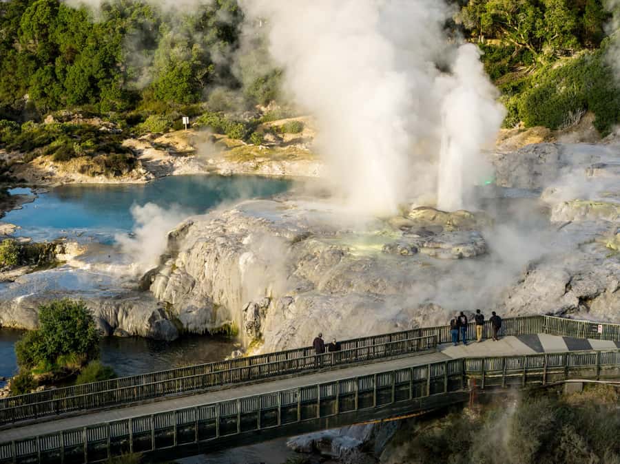 Te Puia: Te Rā Guided Day Tour - Te Puia in 90 Minutes: What You Really Get for $59