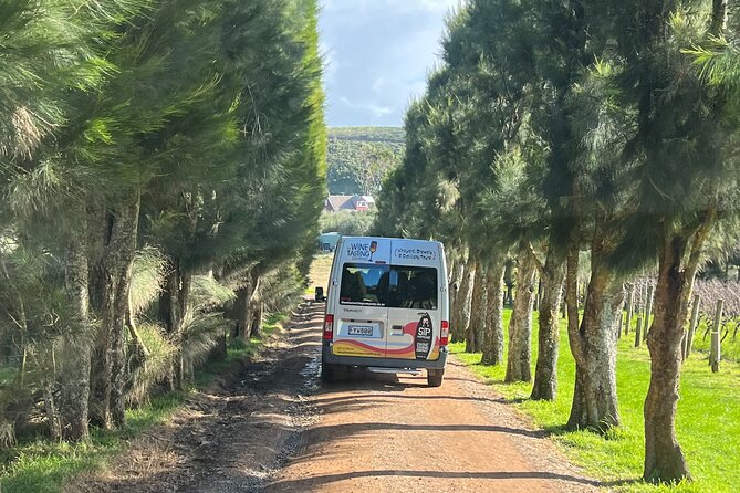The Boutique Experience: Waiheke Best Cellar Tour (11 guests max) - The three-boutique-vineyard tasting flow, and how to get the most out of it