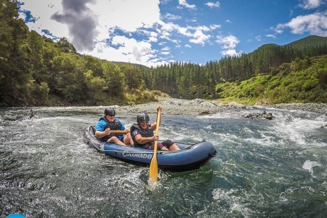The Hobbit Barrel Run Rafting Tour on the Pelorus River - Price and value: what $133.42 includes and why it matters