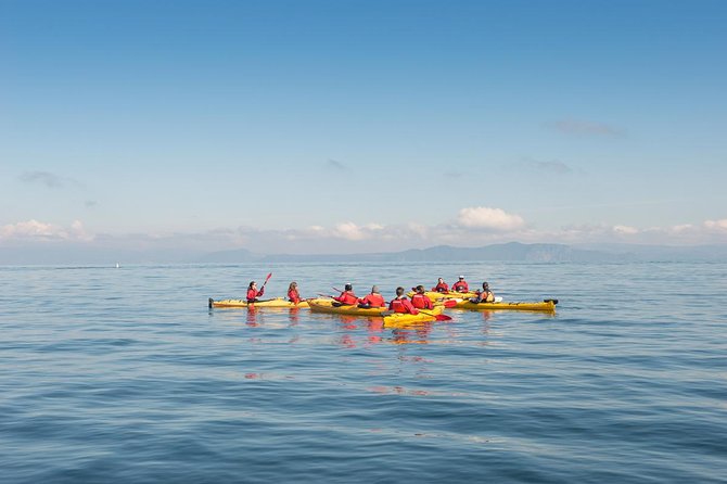 The Maori Carvings Half Day Kayak - Paddling Lake Taupo to Maori carvings: the vibe