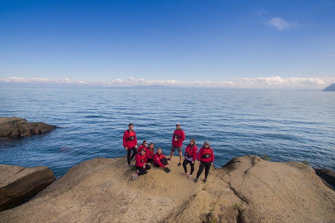 The Maori Carvings Half Day Kayak - The route on the lake: shoreline, cliffs, and bird life