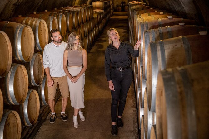 The Original Queenstown Wine Trail Tour – Celebrating 33+ Years! - The Wines and Cheese Angle: How to Taste Like You Mean It