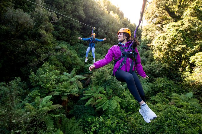 The Ultimate Canopy Zipline Experience Private Tour From Auckland - Key highlights you can plan around