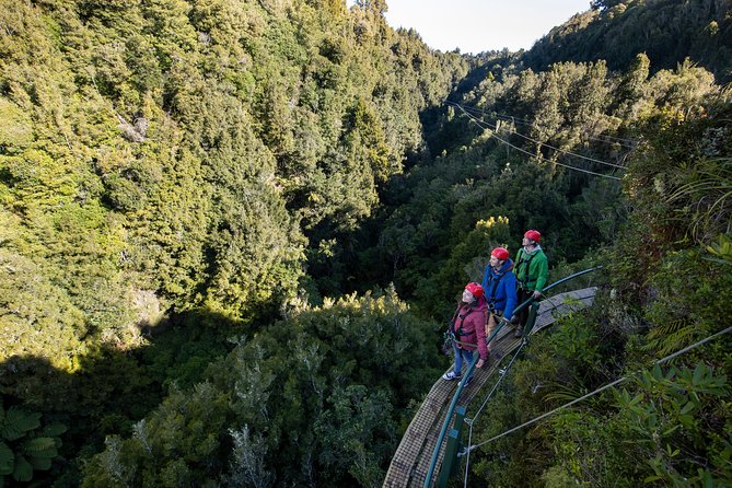 The Ultimate Canopy Zipline Experience Private Tour From Auckland - The course is the star: what you get in about 3 hours