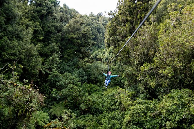 The Ultimate Canopy Zipline Experience Private Tour From Auckland - Price and value: is $775.10 worth it?