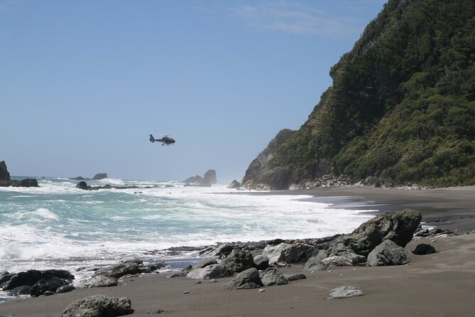 The Ultimate Milford Sound Experience by Helicopter from Queenstown - Glacier landing time, plus the fun side