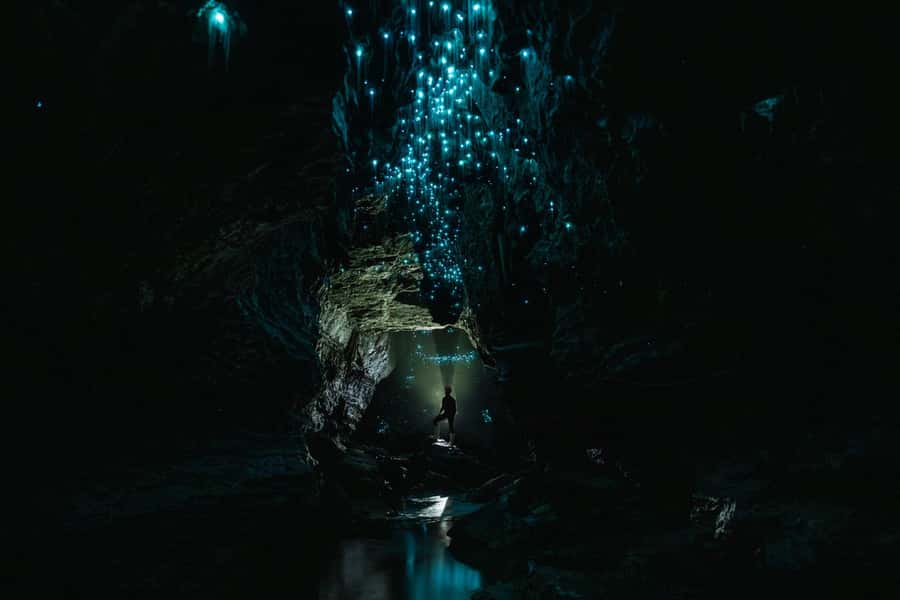 The Waitomo Experience : Okohua Glowworm Cave Tour - The cedar hot tub finish, why it feels like part of the tour