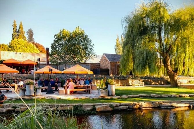 The Wine Trail Tour - Guides and tastings: where conversation turns into real wine learning