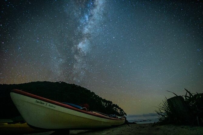 Three Day Classic Kayaking in New Zealand - Who should book this, and who should think twice