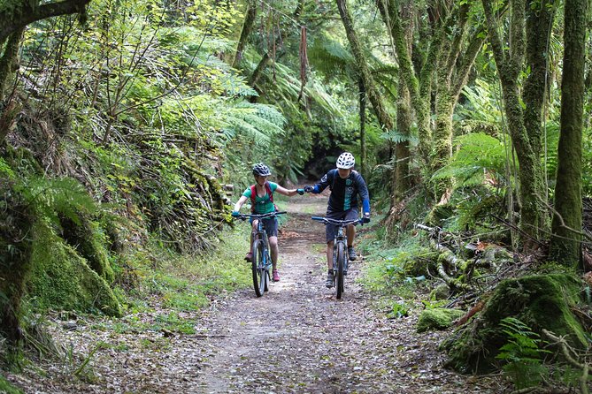 Timber Trail - Ongarue to Pureora Shuttle 2 Day Ride - Getting To Ongarue and Pureora, Without the Bike-Rack Drama