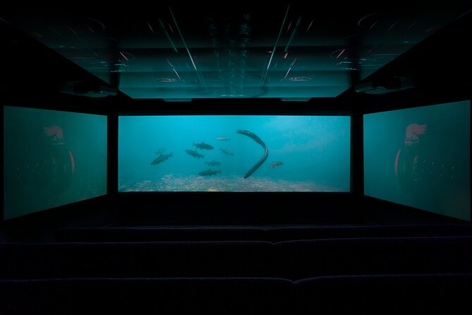 Time Tripper Queenstown - Underwater observatory finale: eels, trout, and feed-time ducks