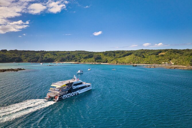 Tiritiri Matangi Island Discovery - from Auckland - Tiritiri Matangi as a real wildlife sanctuary, not just scenery