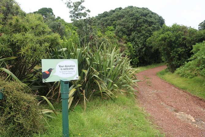Tiritiri Matangi Island Discovery - from Auckland - Wildlife spotting without frustration: what to expect on the ground