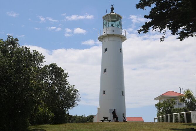 Tiritiri Matangi Island Discovery - from Auckland - Schedule reality: departure from the island and why it changes your choices