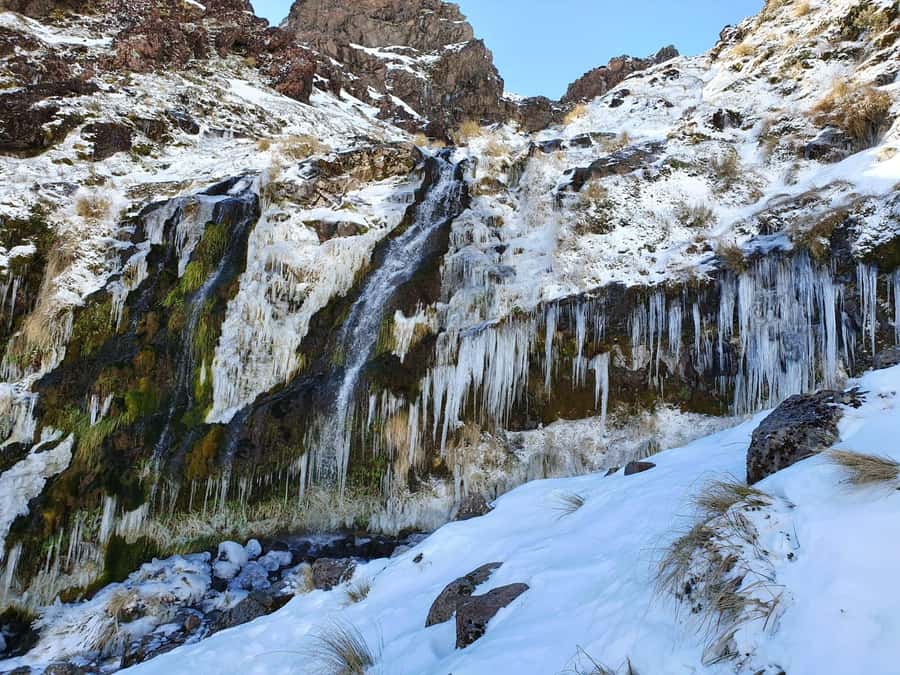 Tongariro Alpine Half Day Guided Group Walk - Key highlights I’d prioritize