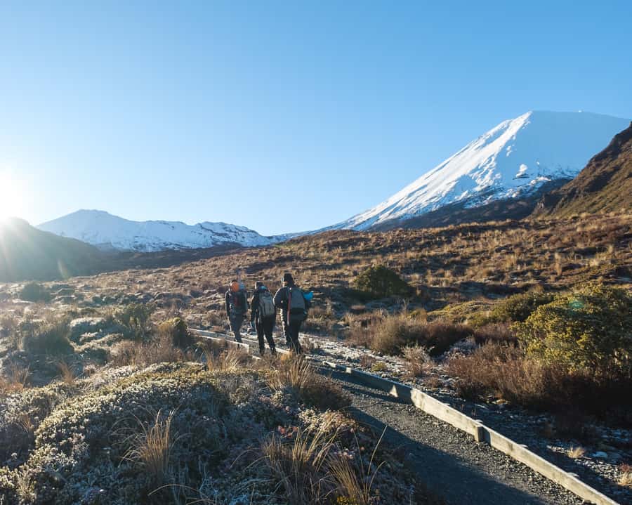 Tongariro Alpine Half Day Guided Group Walk - A four-hour taste of the Tongariro Alpine Crossing