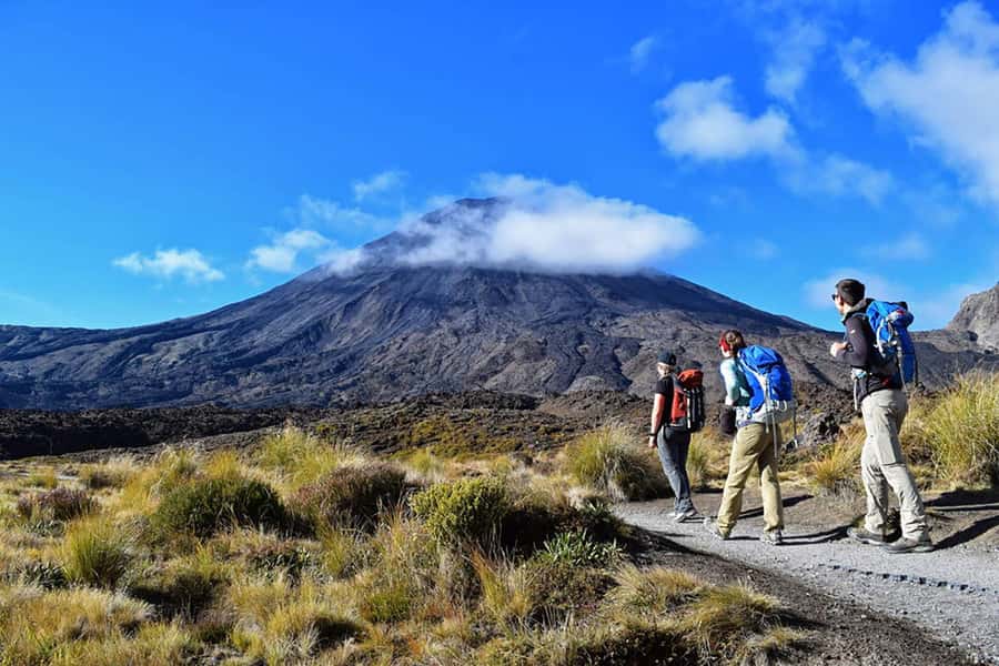 Tongariro Alpine Half Day Guided Group Walk - How the day flows, from 53 Carroll Street to the track