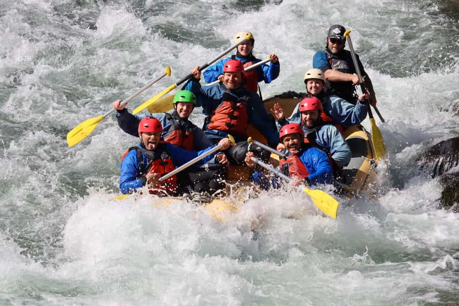 Tongariro River: Grade 3 Whitewater Rafting - Wildlife Moment: Your Best Shot at a Rare Blue Duck