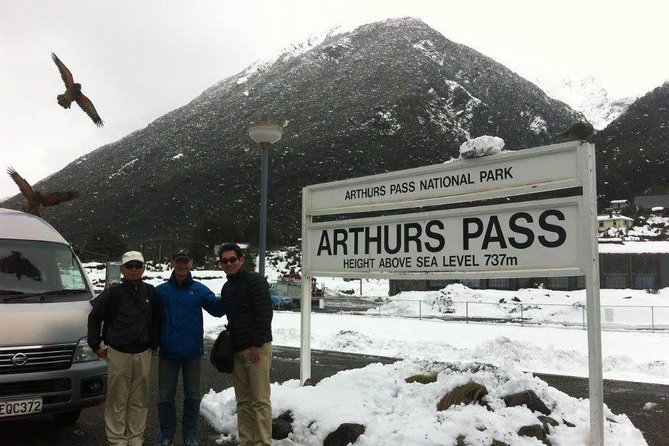 Tranz Alpine Train Tour - Price and What You Actually Get for Around $465