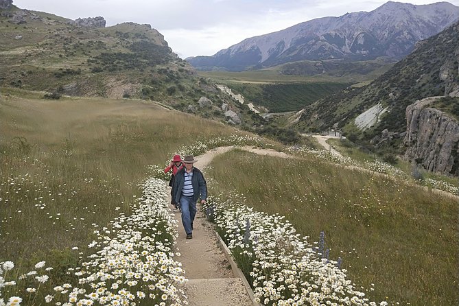 Tranz Alpine Train Tour - The Big Takeaway: Why This Works as a One-Day Alps Fix