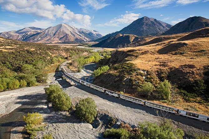 TranzAlpine Train Journey: Christchurch to Greymouth - The Half-Day Train That Feels Like a World Tour
