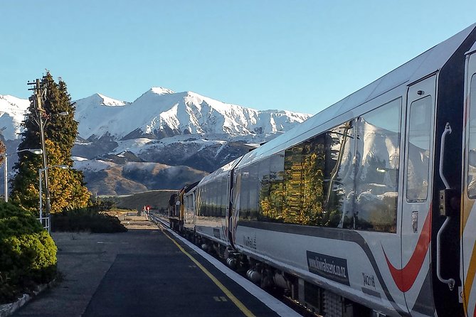 TranzAlpine Train Journey: Christchurch to Greymouth - Café Carriage, Picnic Plan, and Food That Works