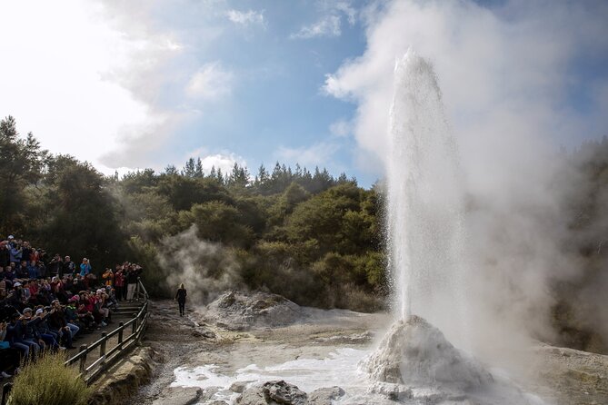 TRIPLE DEAL Wai-O-Tapu, Redwood Forest & Blue Springs Ex Auckland - Rotorua’s Redwood Forest in Whakarewarewa: a shade break from the heat