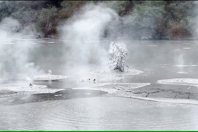 TRIPLE DEAL Wai-O-Tapu, Redwood Forest & Blue Springs Ex Auckland - What the guides do best on this route (and why it matters)