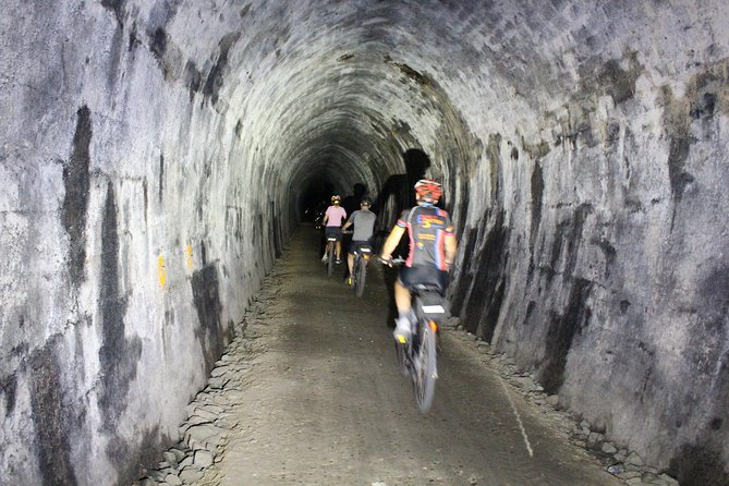 Tunnel to Town - Via Mapua - Key highlights you’ll care about